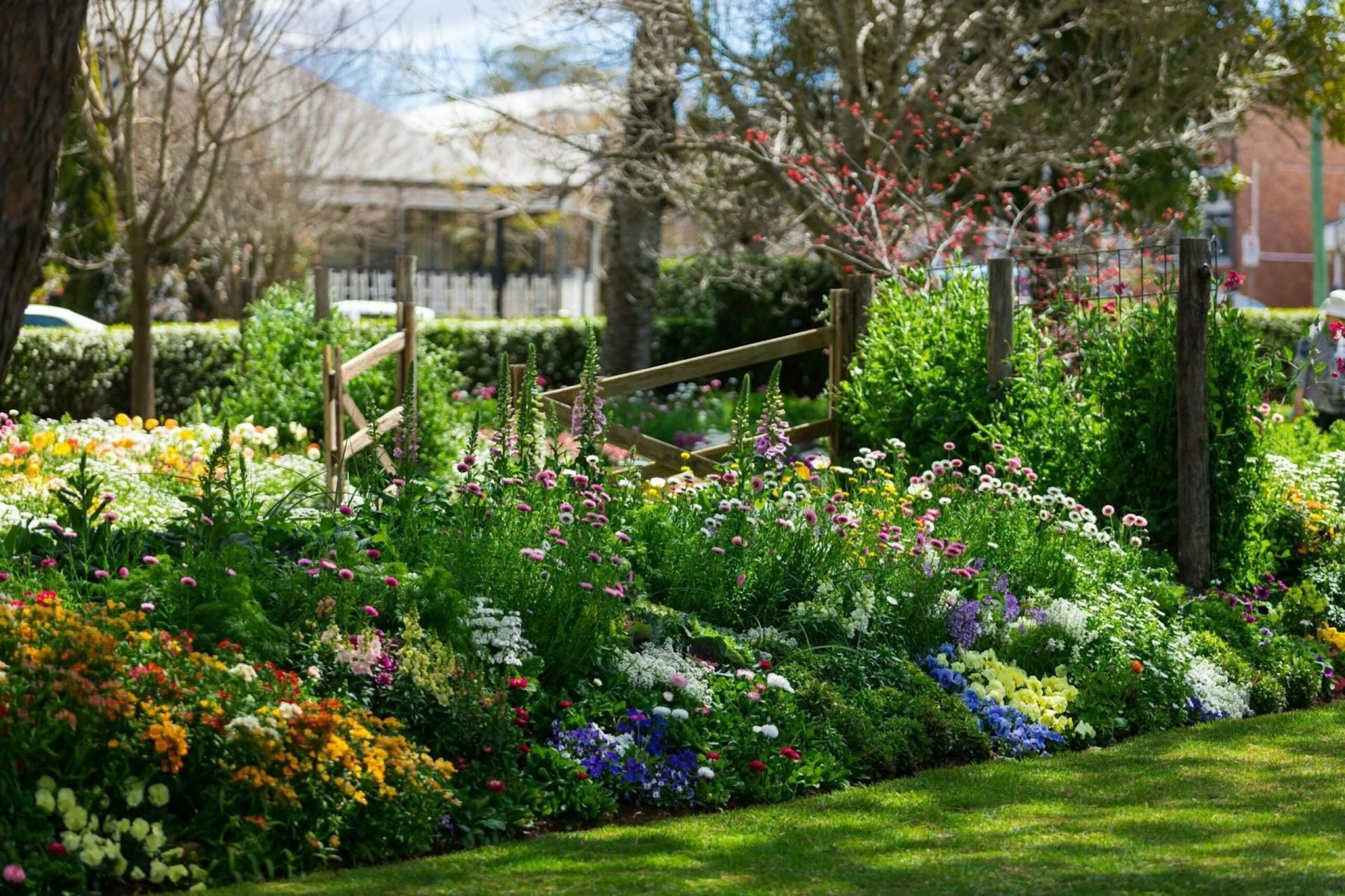 A garden bed of wildflowers in full bloom behind a weathered wooden fence